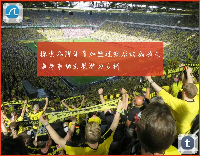 探索品牌体育加盟连锁店的成功之道与市场发展潜力分析