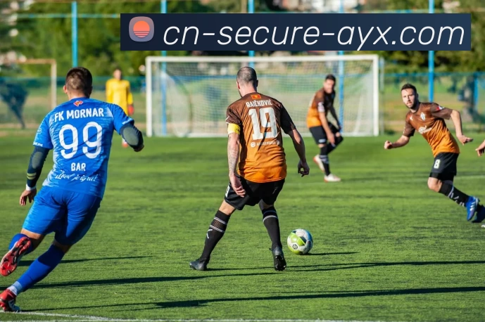 爱游戏平台生态图