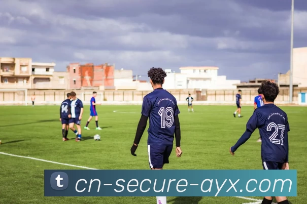 爱游戏APP 封面图