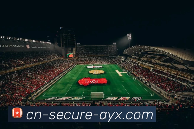 数据防护可视化